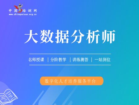 大数据分析师