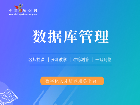 数据库管理工程师